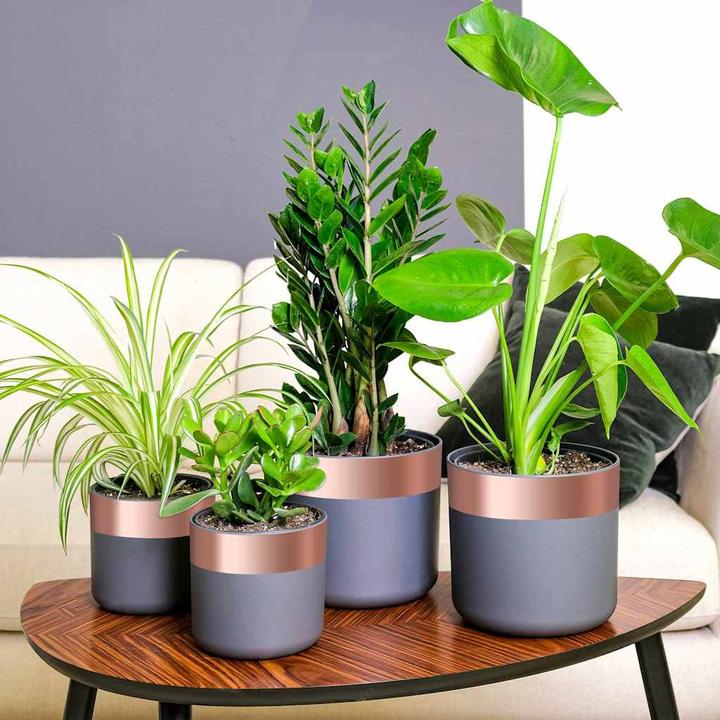 Immagine prodotto vidaXL Kupferband (7 cm)