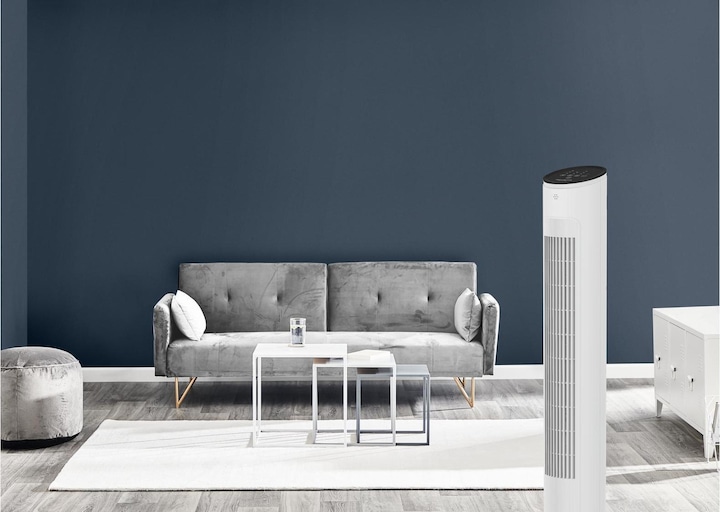 Actual product image Rowenta Eole Ultra VU6871F0 (52 dB)