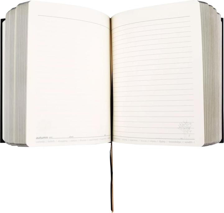 Produktbild H&H No Name Notizbücher (16 x 22 cm, Liniert, Kein Einband)