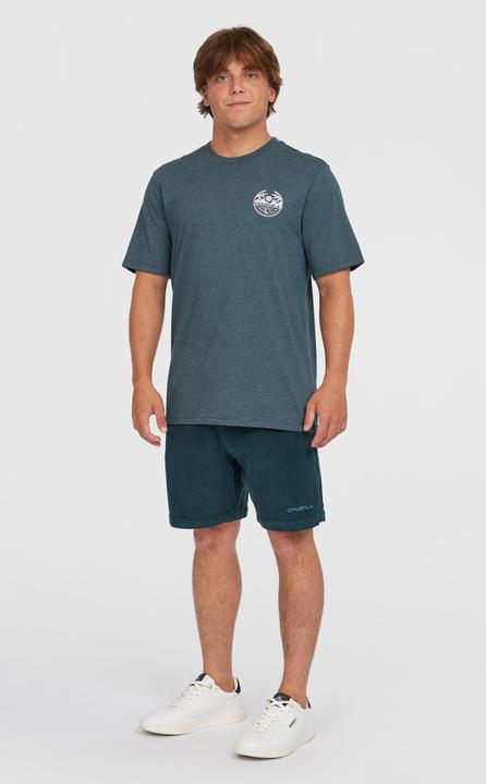 Actual product image O'Neill Back Print T-Shirt (XL)