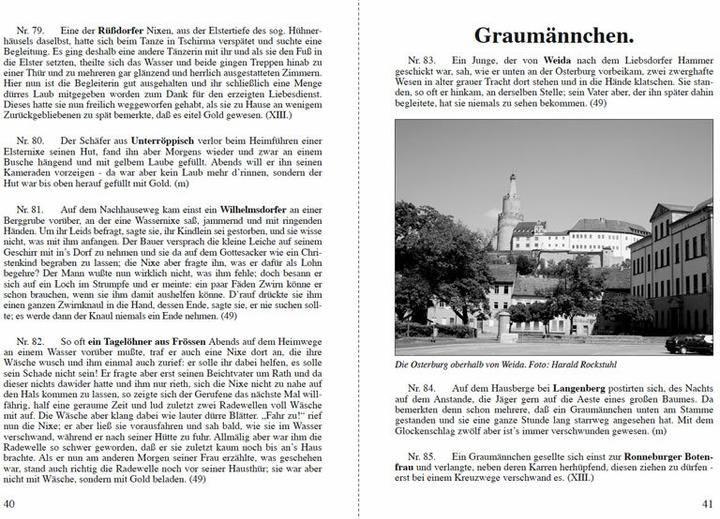 Produktbild Sagenbuch des Voigtlandes 1871 (Deutsch, Robert Eisel, Harald Rockstuhl, Günter Steiniger, 2017)