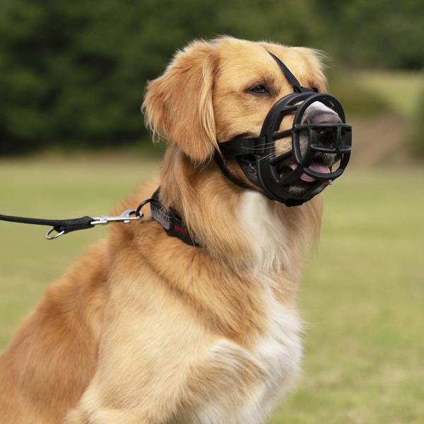 Produktbild Company of Animals Maulkorb Ultra Muzzle (4, Hund, Allgemein)