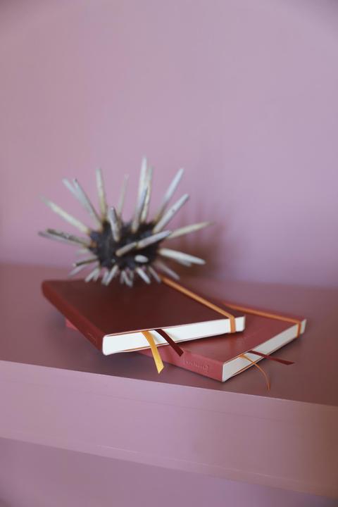 Actual product image Rhodia Notebooks and notebooks Rho (A5, Checked, Soft cover)