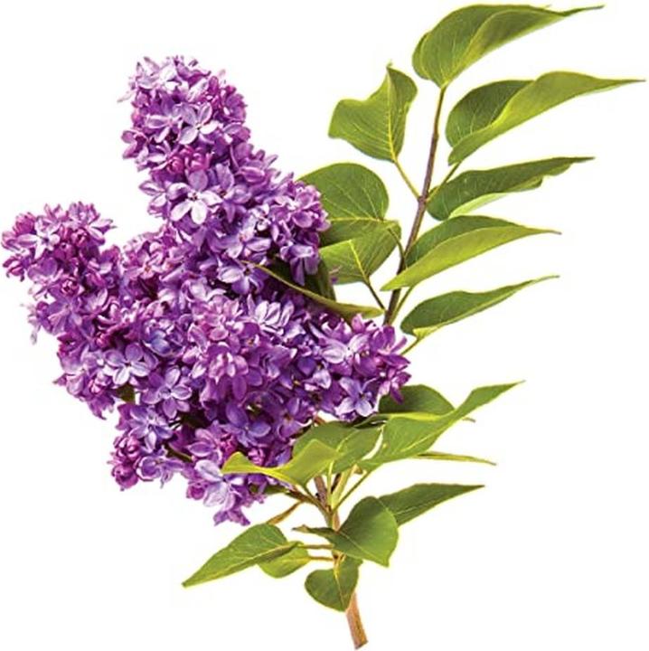 Produktbild Farouk Systems Chi volumecare - volumizing shampoo 355ml (355 ml, Flüssiges Shampoo)