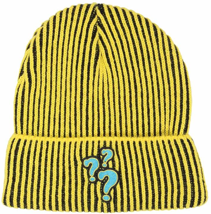 Actual product image Scooby Doo The Mystery Machine Beanie