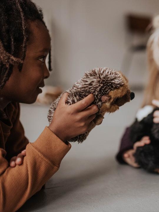 Produktbild WWF Igel (18 cm)