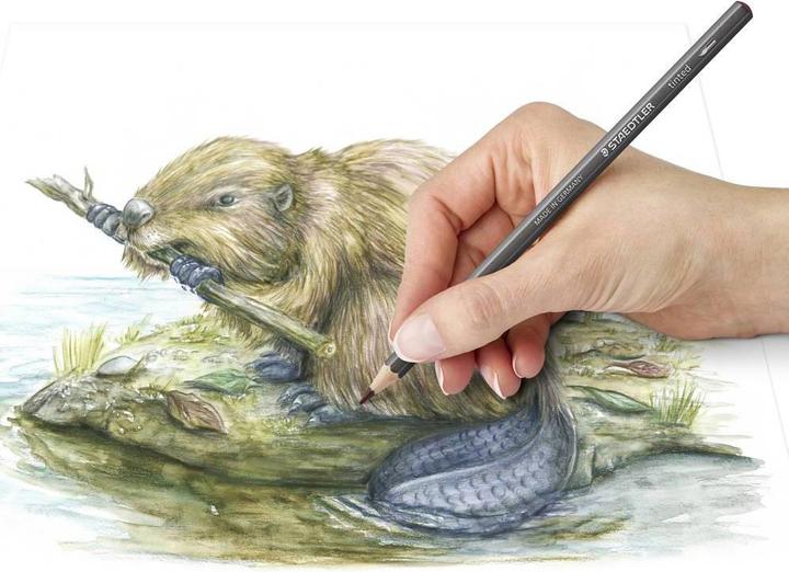 Actual product image Staedtler tinted 146 10T Tinted watercolour pencils (1 x)