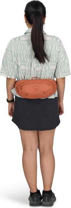 Actual product image Osprey Daylite Waist Gürteltasche 45 cm