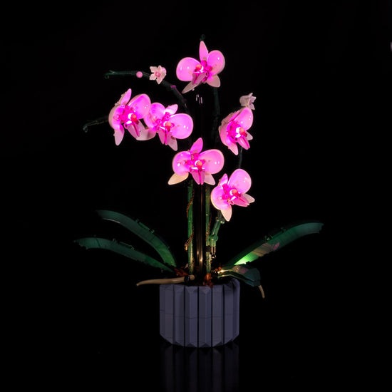 Actual product image Light my bricks LEGO Orchid # 10311 Light Kit