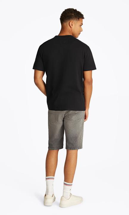 Produktbild Tommy Jeans Tjm Reg Badge Tee Ext (L)