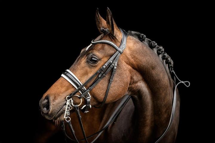 Produktbild Anky Reiterzubehör