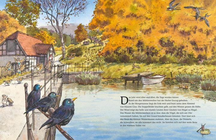 Image du produit Der kleine Wassermann. Herbst im Mühlenweiher (Allemand, Daniel Napp, Otfried Preussler, Regine Stigloher, 2014)