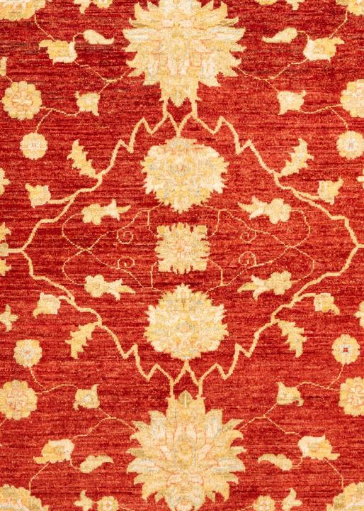 Produktbild Vidal Ziegler (245 x 257 cm)