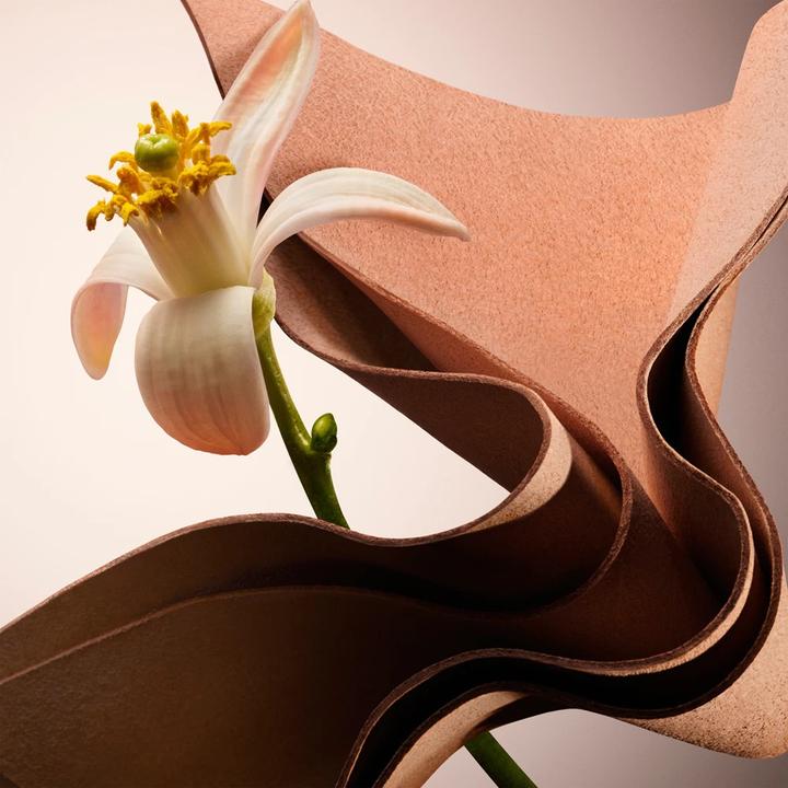 Produktbild Hugo Boss The Scent for Her Parfum (re25) (Eau de Parfum, 30 ml)