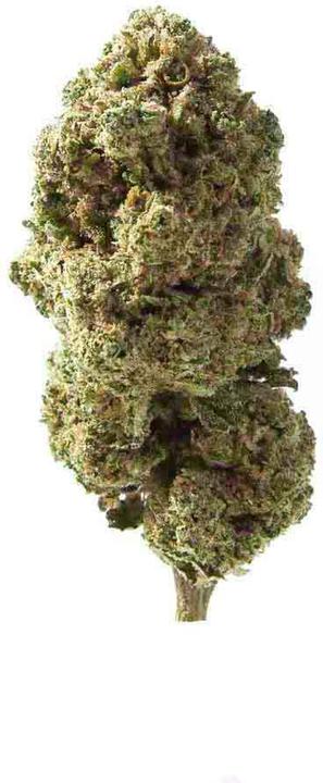 Produktbild Herba di Berna Cannatonic Indoor (11 g, Indoor)