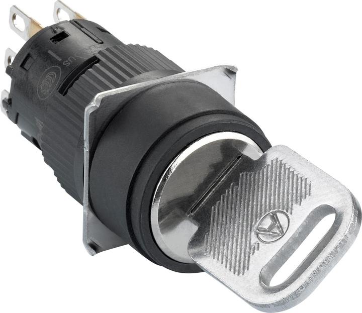 Actual product image Schneider Electric Selector switch, black Ř 16, protruding, XB6EAG221P
