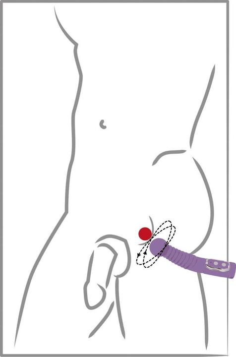 Produktbild You2Toys Prostate Twister