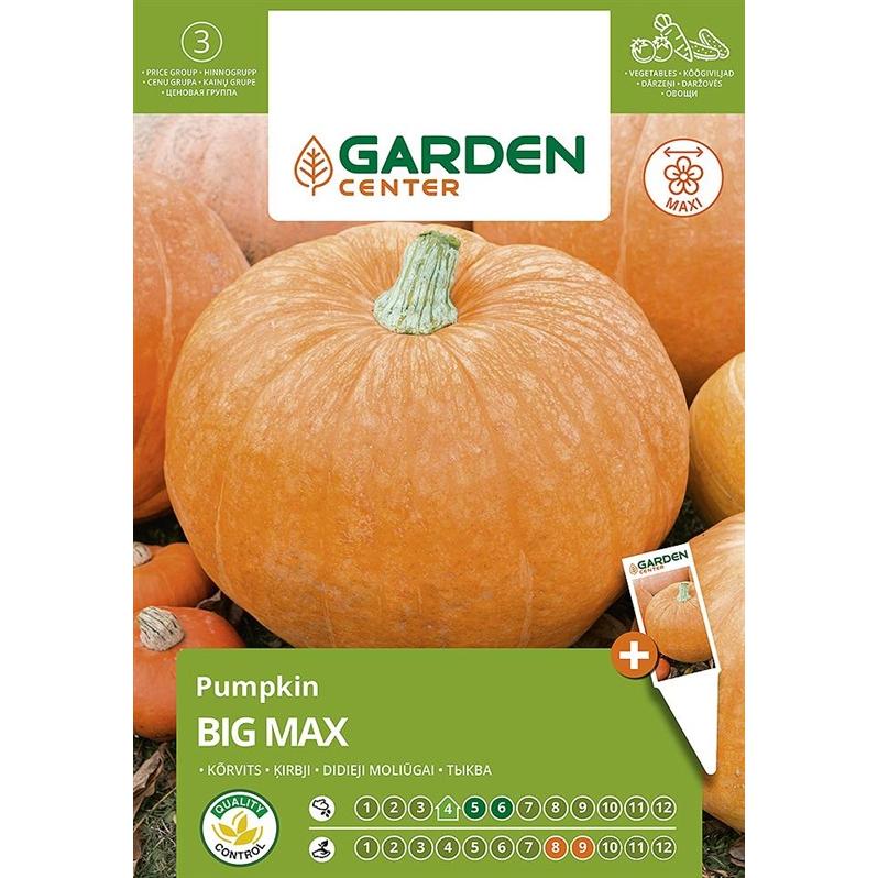 Garden Center, Semi, Seeds BIG MAX, 2 g