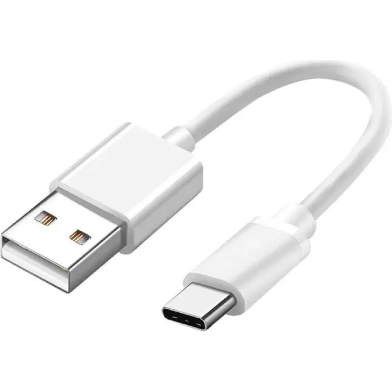 PowerGuard USB A – USB C (0.10 m, USB 2.0), USB Kabel