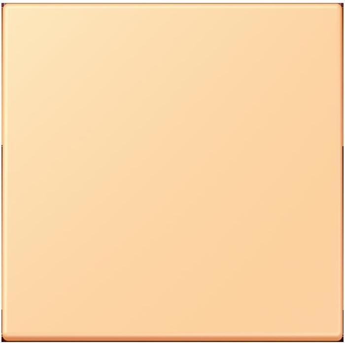 Actual product image JUNG Control button