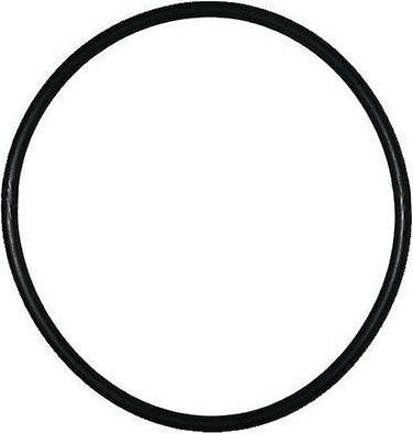 Hayward Chlorinator und Brominator Abdeckung O-Ring CLX110K