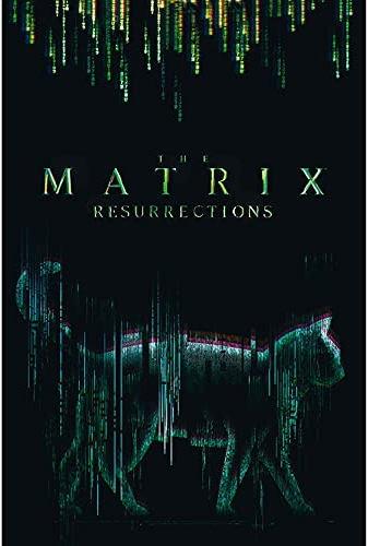 Produktbild ABYstyle The Matrix Poster : Cat (91.5x61) (91.5 x 61 cm)