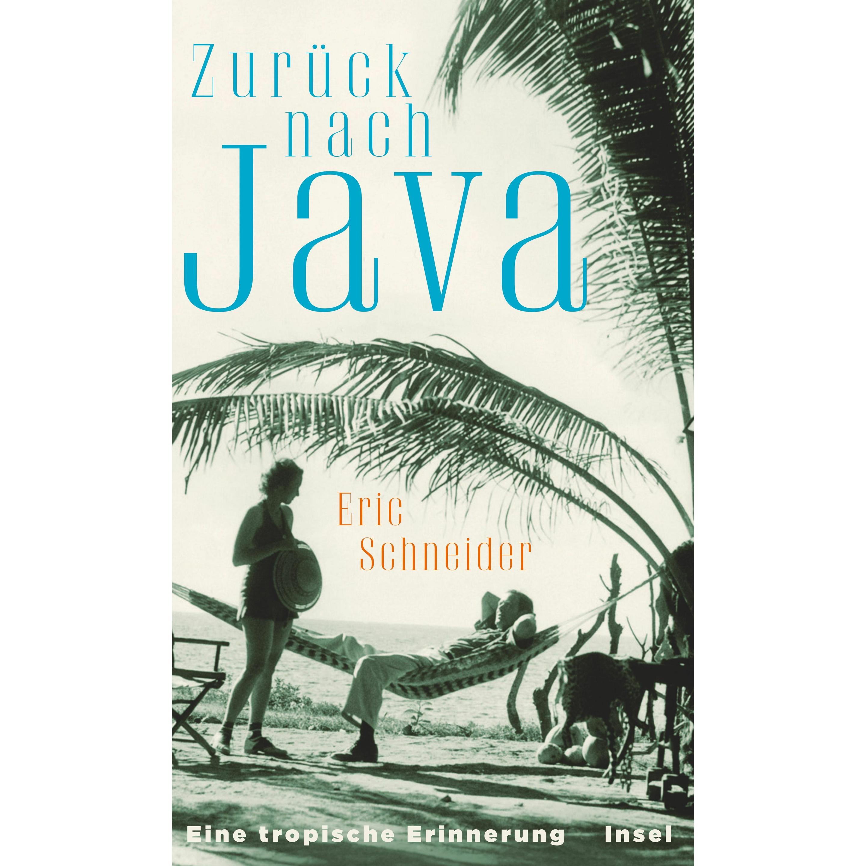 Zurück nach Java, Belletristik von Eric Schneider