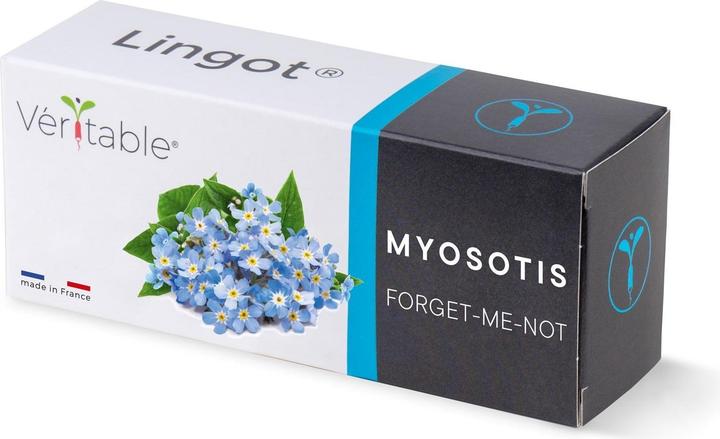 Actual product image Véritable Lingot Cinnamon Basil - Organic (Herb seeds)