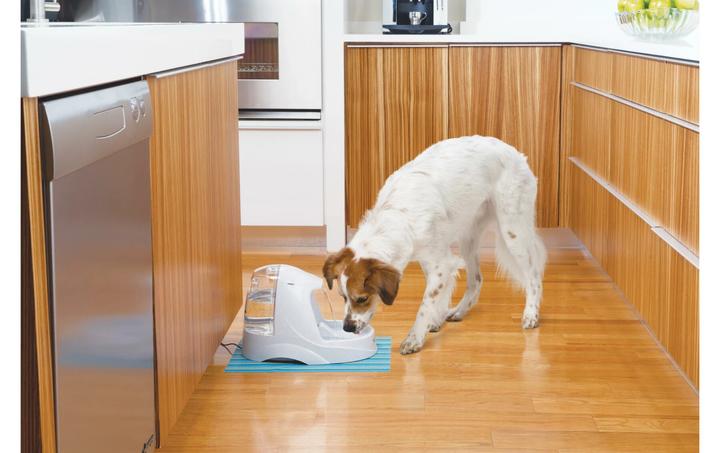 Actual product image PetSafe Platinum (500 cl)
