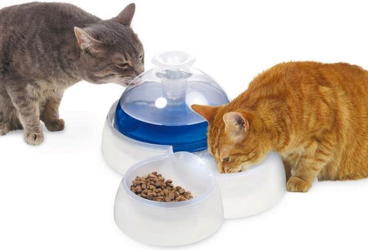 Actual product image Catit Water Fountain Drinking fountain, 3 l, incl. feeding bowl
