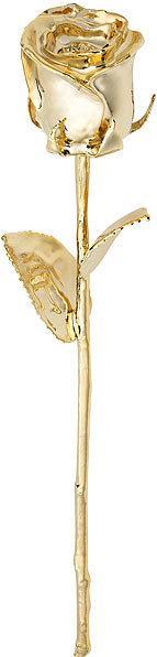 St. Leonhard Real rose forever beautiful