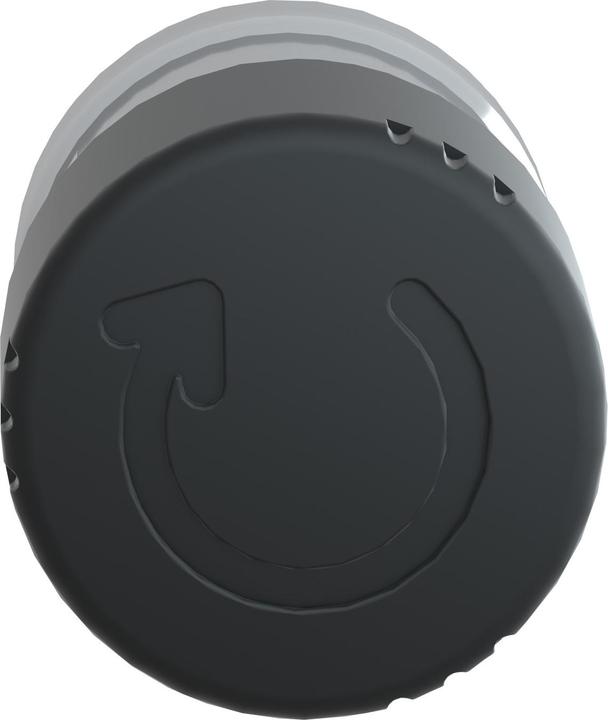 Produktbild Schneider Electric Pb Mushroom 30mm Turnto Rel Black
