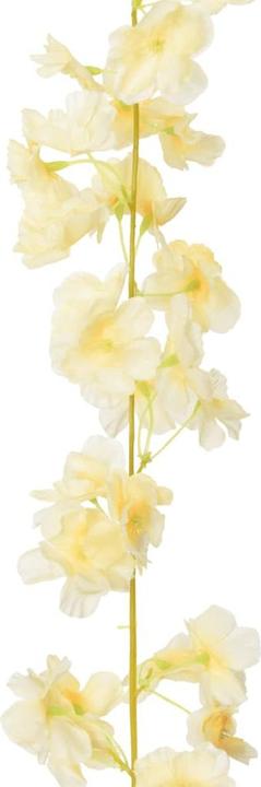 Produktbild vidaXL Kranz