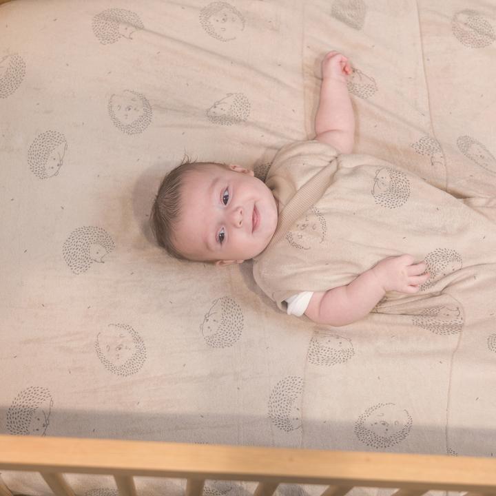 Produktbild Zewi ZEWI-Decke