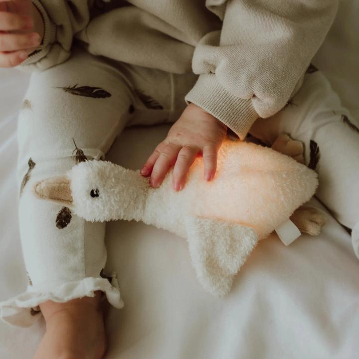 Image du produit Flow Amsterdam Liva