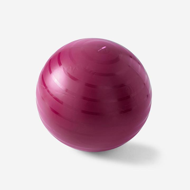 Domyos Swiss Ball Basic (65 cm)