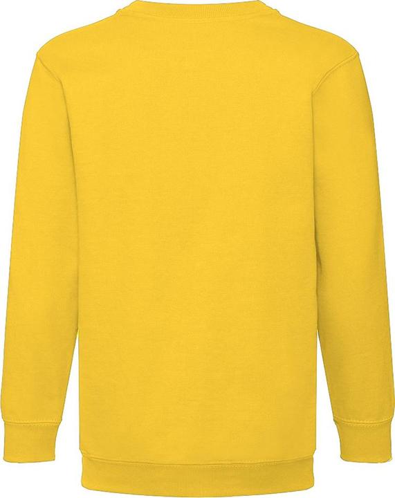 Actual product image Fruit of the Loom UTBC4367 P (12XL)