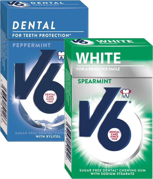 Actual product image V6 Kaugummis (24 g, 1 pcs.)