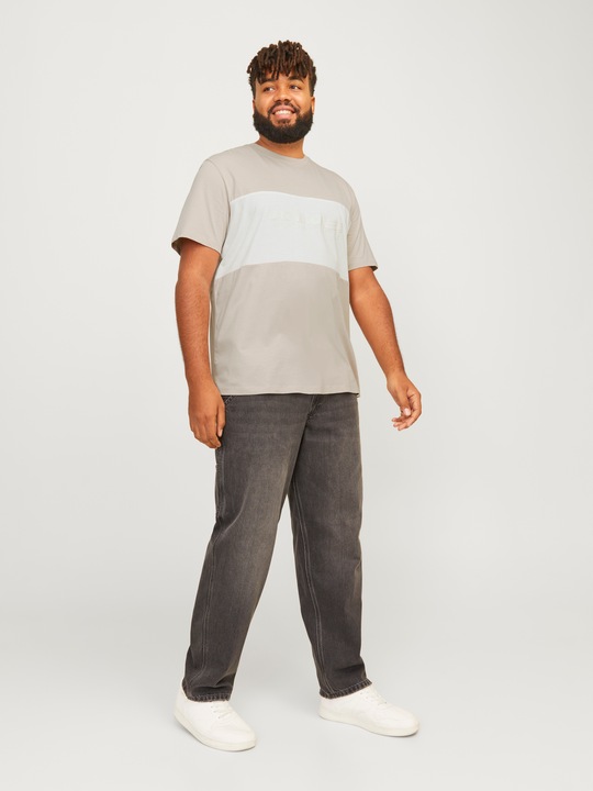 Produktbild Jack & Jones Jjelegacy Blocking Tee Ss O-Neck Noo Pls (XXL)