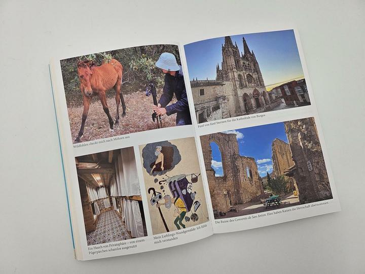 Produktbild Piper Leichtes Herz und schwere Beine (Deutsch, Tobias Schlegl, 2025)