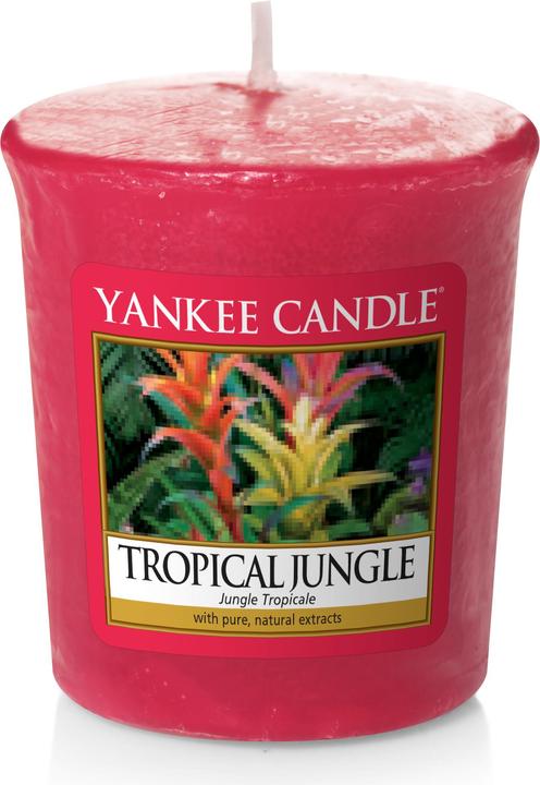 Produktbild Yankee Candle Tropical Jungle (49 g)