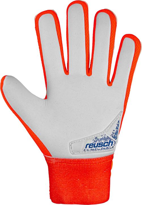 Immagine prodotto Reusch Attrakt Starter Grip Torwarthandschuhe