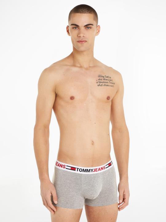 Image du produit Tommy Hilfiger Tronc UM0UM02401 P4A XL (XL)