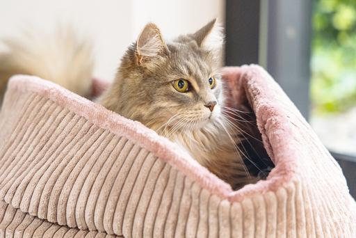 Actual product image Designed by Lotte Katzen Korb Ribbed (Cat)