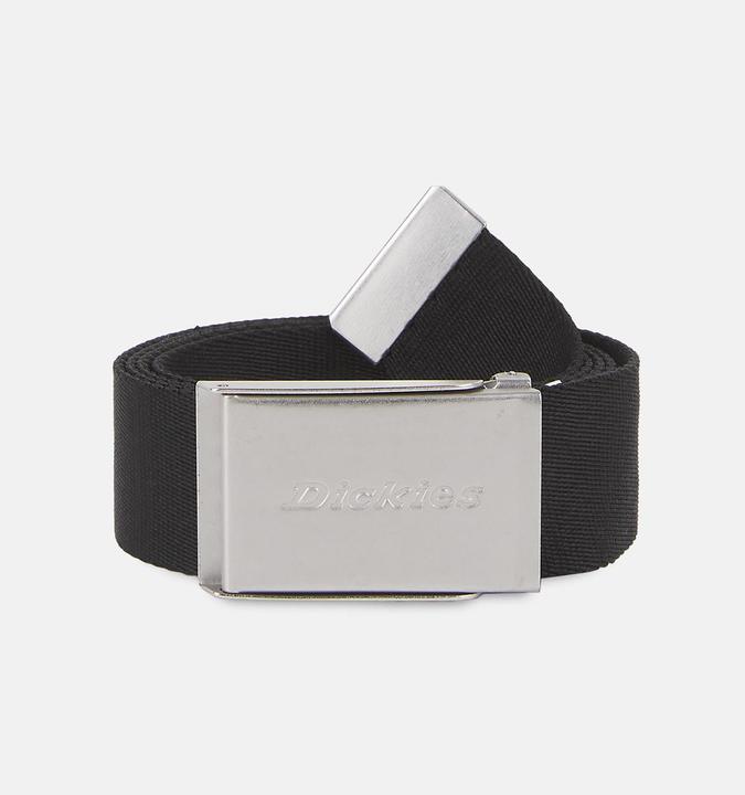 Actual product image Dickies Brookston Belt