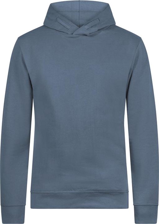 Immagine prodotto Greenbomb Hoodie Basic (XL)