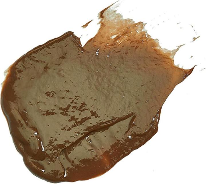 Produktbild Evo Fabuloso - Caramel (220 ml)