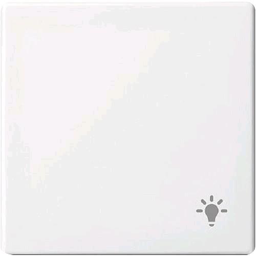 Actual product image Busch-Jaeger Rocker