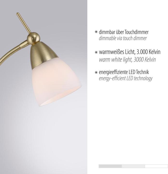 Produktbild Paul Neuhaus Pino (265 lm, G9)