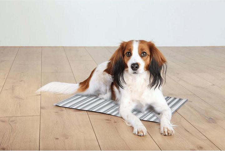 Actual product image Trixie Cooling mat (Dog)